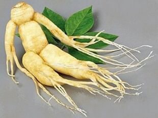 Ginseng root for potency